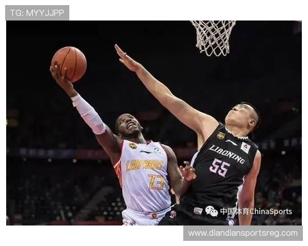 探索bob官方体育的多元化体育内容和互动社区，提升你的体育体验感